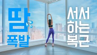 12 Min Standing Abs Workout No Jumping - 12분 서서하는 복근운동 홈트레이닝 - 체지방 태우기는 보너스