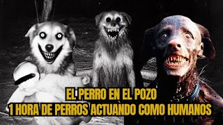 1 hora de perros Actuando Como Humanos: 4 Historias nuevas que NO Te Dejarán Dormir.