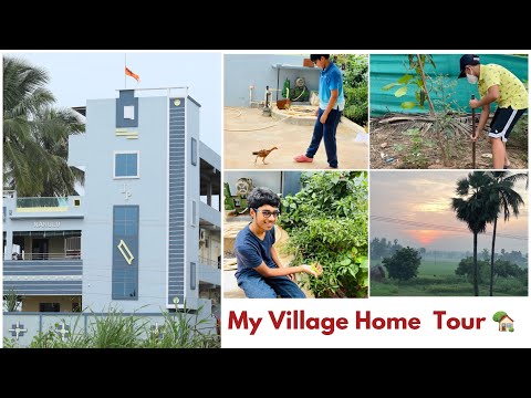 My House in My Village | Organic Plants at my Village House | My Home Tour | My Village Home Tour