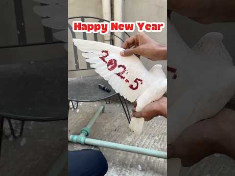 Happy New Year 2025 🥰 || সবাইকে জানাই নতুন বছরের শুভেচ্ছা ❤️ #shorts #2025 #pigeon #viral #cute