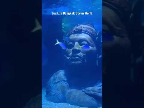 Sea Life Bangkok Ocean World #sealife #ocean #bangkok #thailandtravel #trending #viral #shorts