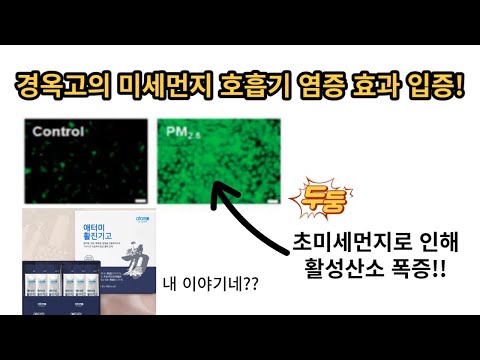 미세먼지 잡는 애터미 활진기고~? (feat 헤모힘 노니도 함께!)