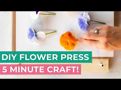 Quick Flower Press DIY: Easy Steps!