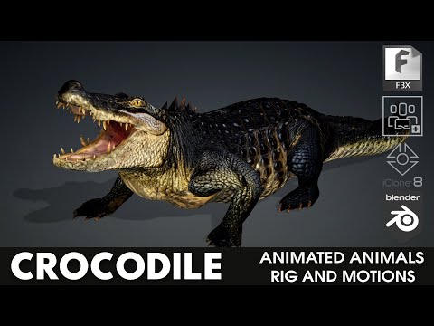 Crocodile