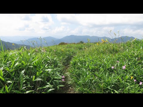 立烏帽子山～池の段