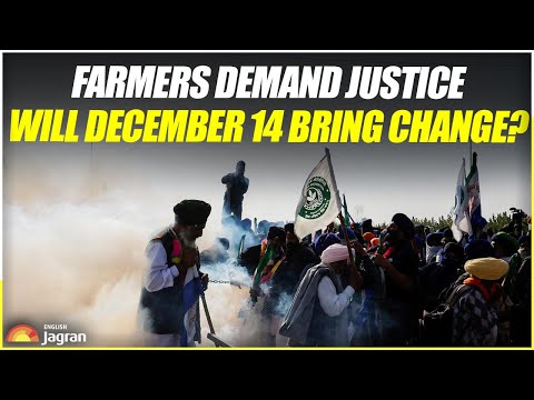 Farmers Demand Justice: Will December 14 Bring Change? Jagran English News Updates