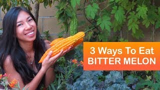 3 Ways to Cook Bitter Melon