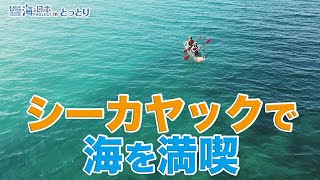 「海は人生」と語る鳥取県自然体験塾長谷川浩二さんの取組とは？ 日本財団 海と日本PROJECT in とっとり 2020 #23