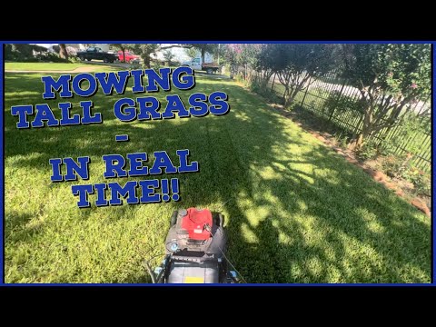 MOWING THIS LAWN IN REAL TIME!