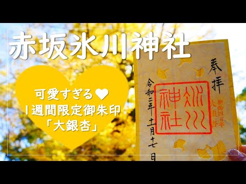 【限定御朱印】×【天然記念物】1年に1週間しか貰えない御朱印×樹齢400年のイチョウを見に赤坂氷川神社にお参り！