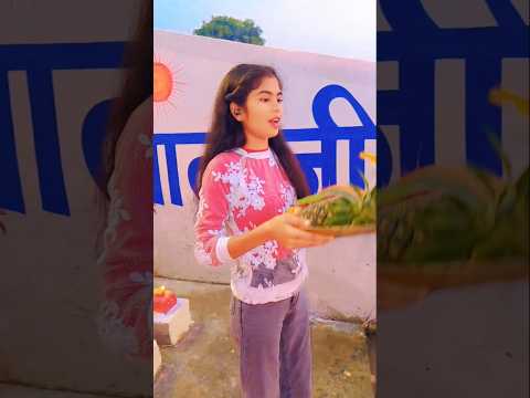 शीतली बेरिया#shortsviral #trendingshorts #chhathsong #chhathpuja #shorts