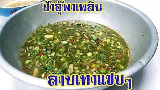 ลาบเทาแซบๆ | อาหารอีสานบ้านๆ | ป้าอุ๊พาเพลิน