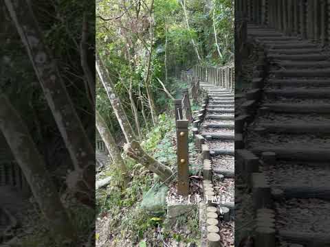 台中太平蝙蝠洞登山步道