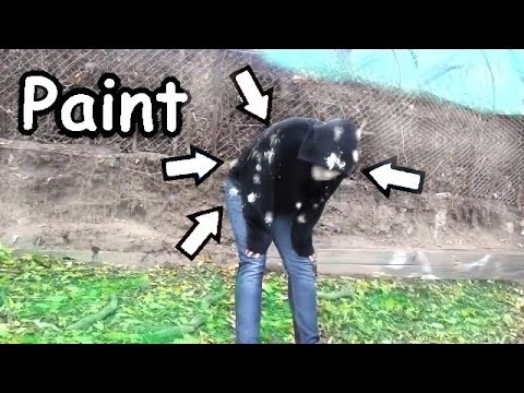 I Celebrated 200 Subscribers With 200 Paintballs