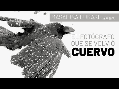 Masahisa FUKASE: El fotógrafo que se volvió CUERVO