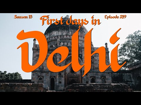 First Days in Delhi: Embracing the Urban Chaos