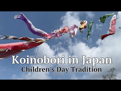 Koinobori in Japan: Children's Day Tradition