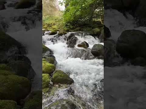 THE best feeling after a long hike! #coldwater #mountains