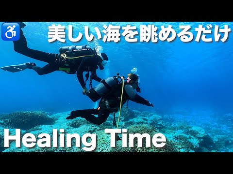 【奄美大島】海の中を音楽と共にただ眺めるだけの時間｜ハンディキャップダイビング