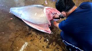 驚人的技巧巨大黑鮪魚切割大師, 鮪魚金三角黑鮪魚500 Pound Giant bluefin tuna cutting Master, Luxurious sashimi