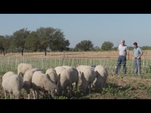 Dr. Noland and Rancher Chad Raines, Leaders in Sustainable Agriculture on America's Heartland