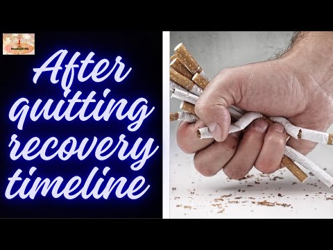 What Happens When You Stop Smoking: A Timeline of Recovery