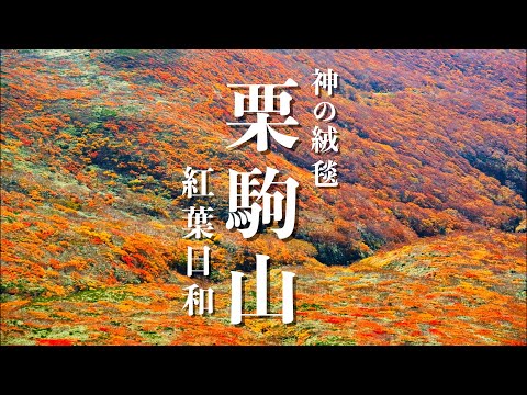 【紅葉の栗駒山】神の絨毯は息を呑むほどに美しかった！2024年10月17日、須川高原温泉から日帰り登山