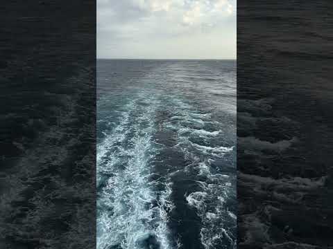 #shorts Royal Caribbean Voyager of the Seas - Wake View Best View, Engine Wash