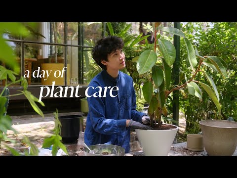 Relaxing Plant Care | Thoughtful plant & pot pairings, plant design