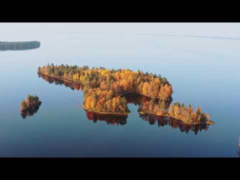 Island in Lake | Copyright Free Video Footage