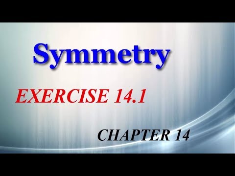 Symmetry 14.1