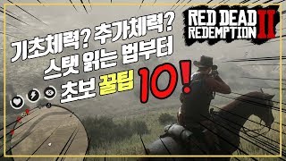 레데리2 알고 시작하면 핵편한 꿀팁 10가지!!