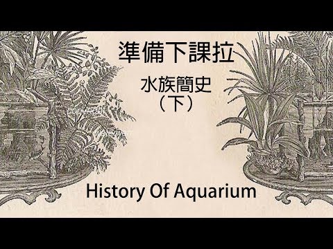 『水族系列 ep11』水族教學 | 新手養魚的上完這堂就可以下課拉！ 水族簡史（下）[CC字幕]