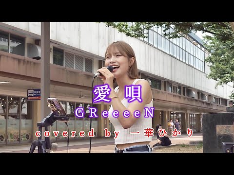 愛唄 / GReeeeN  covered by 《一華ひかり》 ※概要欄にツアー情報があります