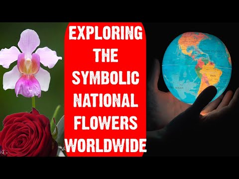 Explore the Floral Beauty of Nations! 🌍 National Flowers Revealed | Bright Lab