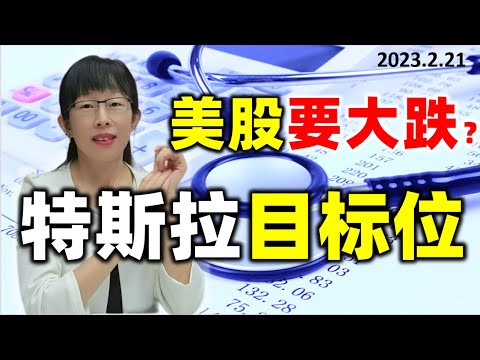 股票买卖 | 美股下周会大跌？特斯拉目标位#美股#特斯拉#tsla23.2.21