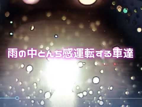 雨の中☂️ 意味不明な運転と信号無視 車間距離不 急な進路変更。