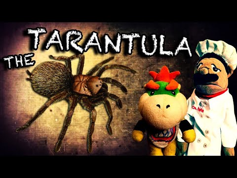 SML Movie: The Tarantula [REUPLOADED]