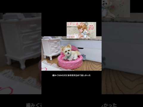 #stopmotion 犬との暮らし　犬主体のシーン