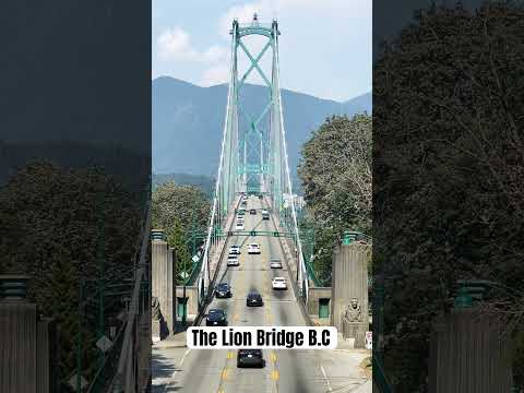 The Lion Bridge Stanley Park Vancouver BC #lionbridge #bc #vancouver  #familytime #shorts