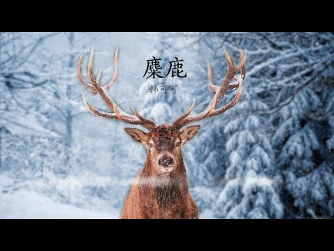 【麋鹿】韩可可 -  最新歌曲 高音质LRC动态歌词 |  New Chinese Songs in February 2022