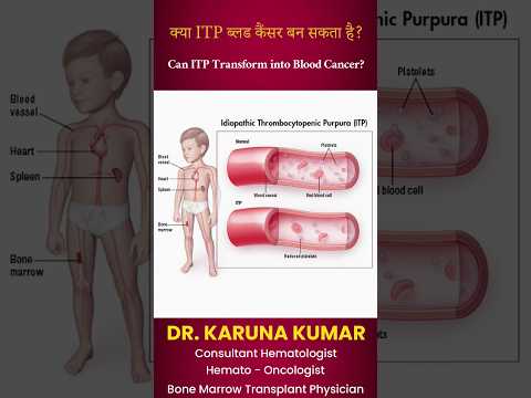 क्या ITP ब्लड कैंसर बन सकता है? |Can ITP Transform into Blood Cancer?#itp #bloodcancer #hematologist