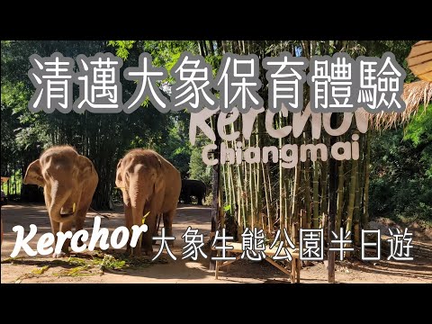 一起逛泰國《Kerchor清邁大象生態半日體驗》友善大象超級推薦,chiang mai elephant friends