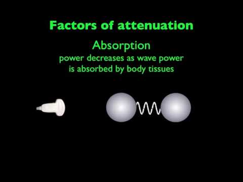 Ultrasound Physics Attenuation