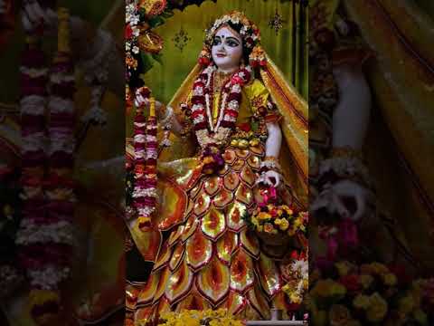 ❤️ Radharani ❤️ #krishanabhajan #mayapuriskconmandir #love