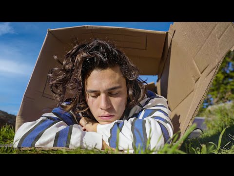 Surviving 24 Hours in a Cardboard Box