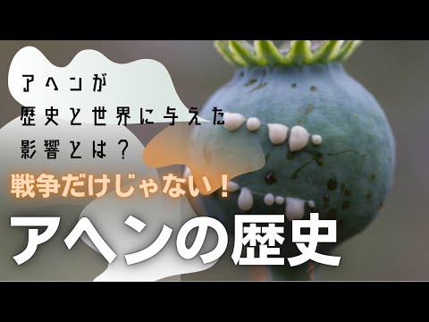 アヘン戦争だけじゃない！アヘンが歴史と世界に与えた影響とは？