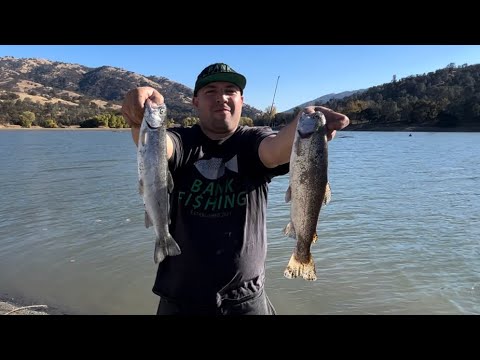 Trout fishing at Lake Del Valle! Catch,Clean & Store! #bankfishing #trout #fishing #california #fish