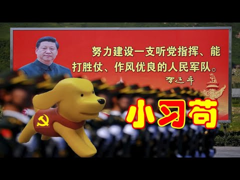 【辱包】小习苟（原曲：小苹果）|作风优良能打胜仗|脱口秀演员House被举报封杀