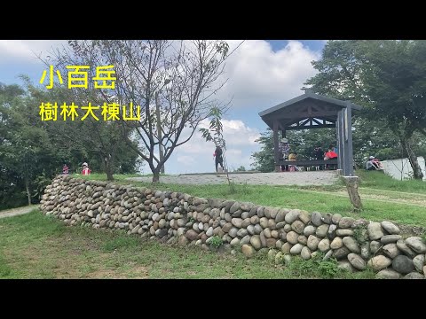 小百岳：樹林大棟山